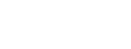 Self Assured Storage Logo Light